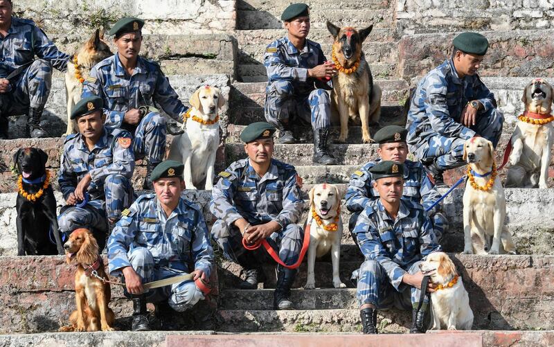 Nepal Armed Police dog handlers and their dogs with vermillion. AFP