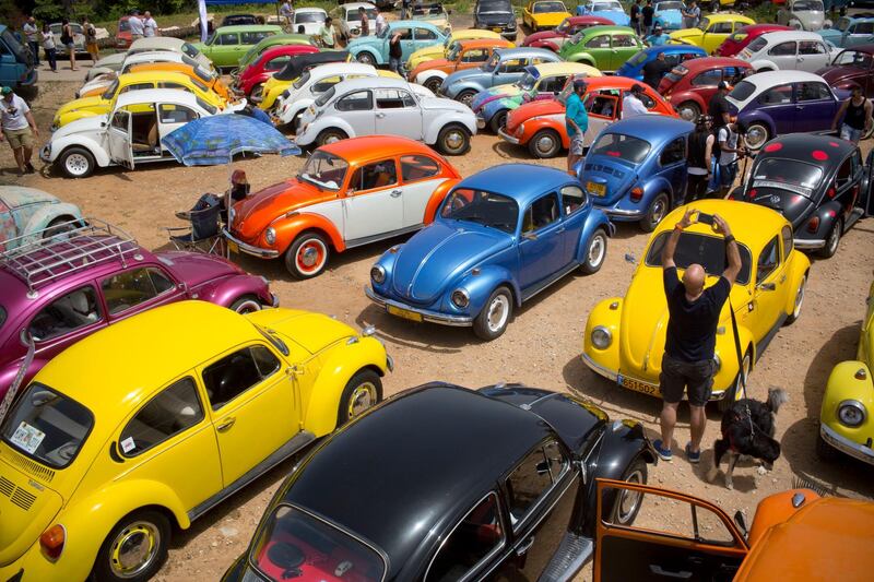 Cars owned by the Israeli Beetle club, which has 500 members.