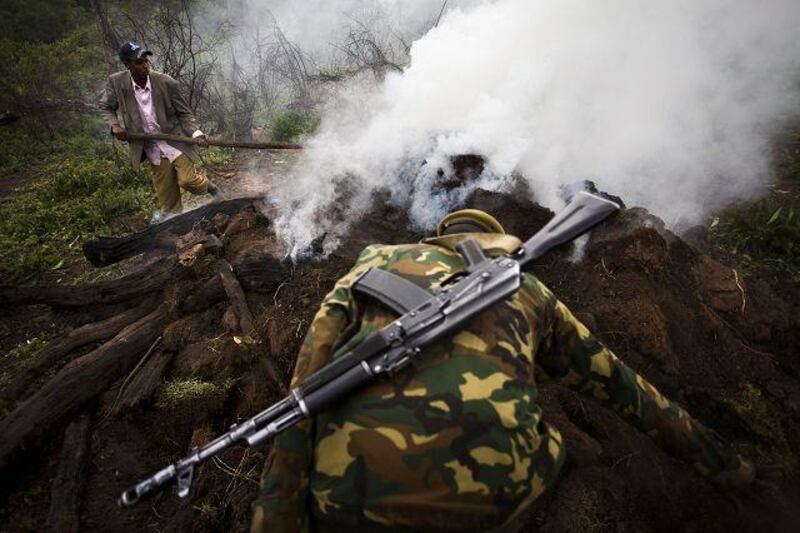 A Kenya Wildlife Service ranger and an informant destroy an illegal charcoal kiln in the Mau Forest, which is rapidly being destroyed.