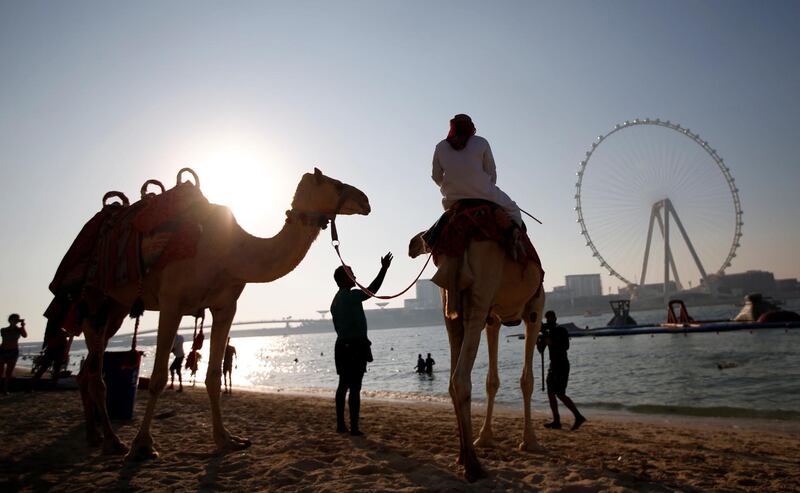 epa08789708 A man rides a camel walking past by Beachgoers during the Aqua Challenge in Gulf emirate of Dubai, United Arab Emirates, 31 October 2020. Dubai Sports Council has organized many sports events after lifting of the lockdown for COVID-19 in Dubai. Around 120 competitors took part in the Aqua Challenge taking place on 35 inflatable obstacles distributed across the 50,000 sqft Aqua Fun Waterpark at Jumeirah Beach Residence. JBR is the largest inflatable aqua park in the world, and the obstacles will be arranged in the shape of 'I Love Dubai'.  EPA/ALI HAIDER