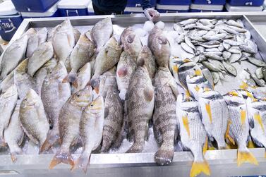 Fish Free February is encouraging people to give up seafood for a month. Reem Mohammed / The National