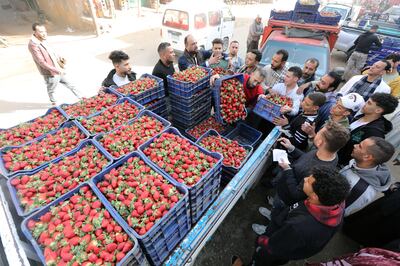 Egyptians buying freshly harvested strawberries at a market in Al Deir village in Toukh, at Al Qalyubia Governorate, north of Cairo. EPA
