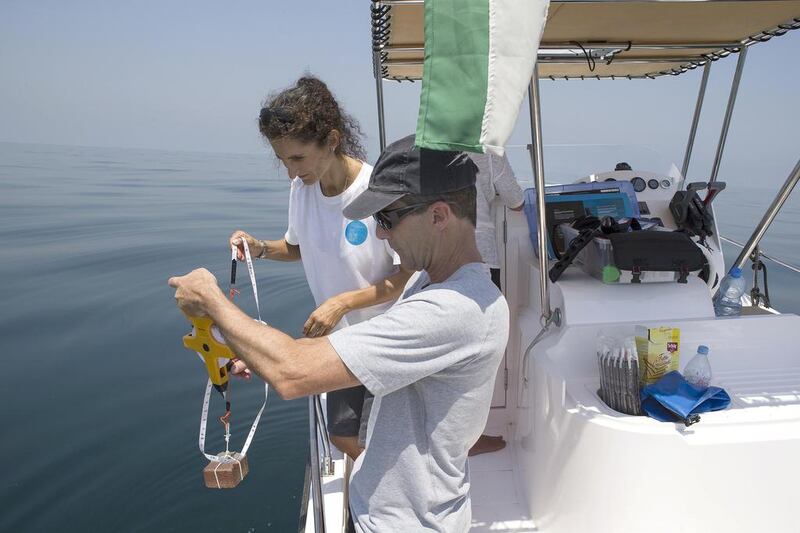 Ada Natoli of the UAE Dolphin Project and Mike Lawrence measure the depth off the coast of Dubai as part of their survey. Antonie Robertson / The National