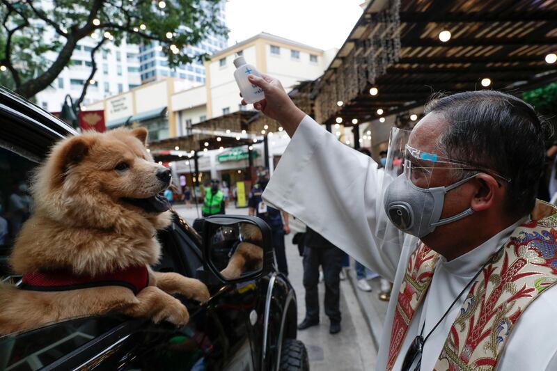 A Catholic priest sprinkles holy water on a dog during a drive-through blessing done to prevent the spread of the coronavirus at the Eastwood mall in Quezon city, Philippines. Pets are traditionally blessed every first Sunday of October to celebrate the feast day of Saint Francis of Assisi, considered the patron saint of animals and environment by the Catholic Church. AP Photo