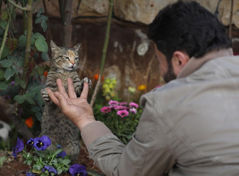 Mohammed Alaa al-Jaleel plays with a cat at Ernesto's Cat Sanctuary. AFP
