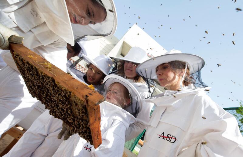 DUBAI, UNITED ARAB EMIRATES -  Students being brief on their part of being a bee keeper at American School of Dubai has partnered with the Beekeepers Foundation UAE to create a community on campus and raise awareness of the importance and protection of honeybees in the UAE at American School Dubai.  Ruel Pableo for The National