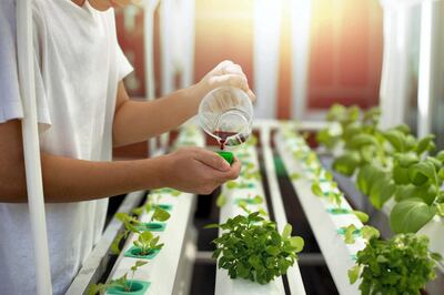 A $1million prize fund aims to find winning projects to address challenges in the agricultural sector by finding cutting-edge and innovative food security solutions for the UAE. Courtesy: FoodTech Challenge