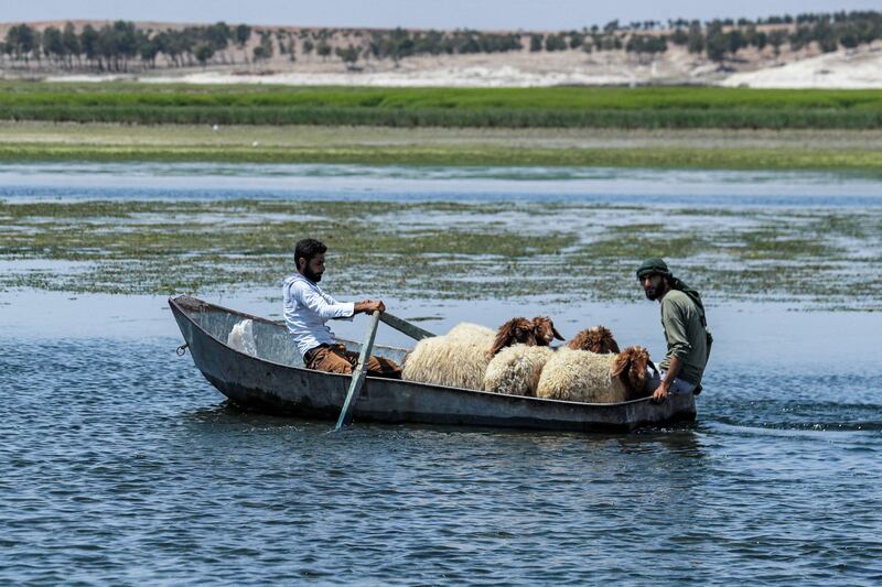 A man rows a boat filled with sheep in the waters upstream of the Lake Assad reservoir along the Euphrates river by the town of Rumaylah in eastern Syria. Many in the Kurdish-held area are accusing neighbour Turkey of weaponising water by tightening the tap upstream. AFP