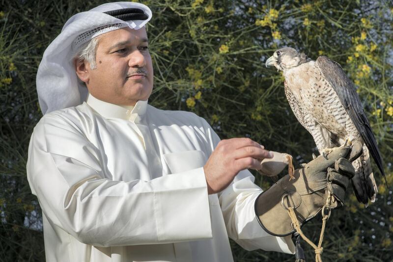 Portrait of Ahmad Al Nowaif, a Kuwaiti falconner.