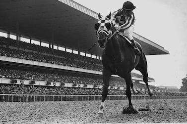 Elmont, N.Y.: Jockey Ron Turcotte aboard Secretariat looks behind for the other horses on his way to a 31-lengths victory in the Belmont Stakes in Elmont, New York on June 9, 1973, to complete the first Triple Crown in 25 years. Over 69,000 spectators in the grandstand witnessed history being made. (Photo by Joe Dombroski/Newsday RM via Getty Images)