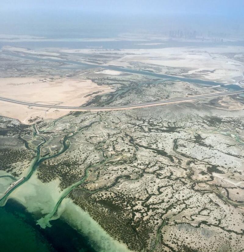 Mangroves at Saadiyat Island, Abu Dhabi – an environment rich in wildlife and part of the nation’s heritage. Liz Claus / The National