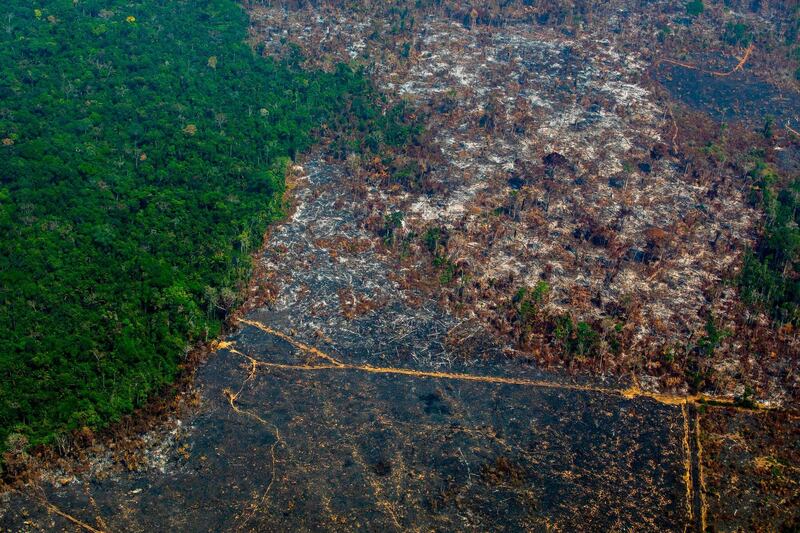 (FILES) File photo taken on August 28, 2019, showing an aerial view of deforestation in Nascentes da Serra do Cachimbo Biological Reserve in Altamira, Para state, Brazil, in the Amazon basin.  Deforestation in the Amazon rainforest in northern Brazil surged to nearly 10,000 square kilometers in the year to July 2019 -- the highest in more than a decade, officials said on November 18, 2019. / AFP / Joao LAET
