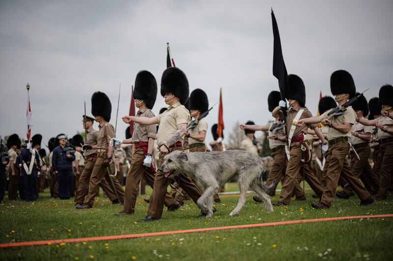 Seamus, the regimental mascot of the Irish Guards, is the only dog to be included in the festivities. Getty