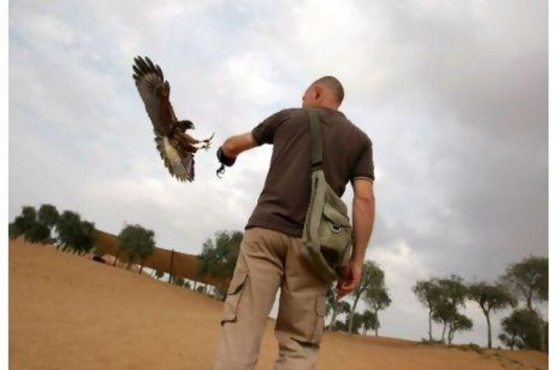 Trainer Jannes Kruger includes the history of falconry, as well as care and wellness instructions, in his course.