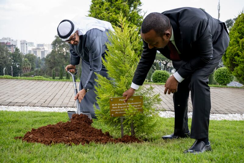 President Sheikh Mohamed plants a tree at the Office of the Prime Minister alongside Mr Abiy  