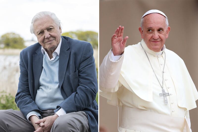 Sir David Attenborough and Pope Francis are among those who have been nominated for the Nobel Peace Prize. Photo: Getty