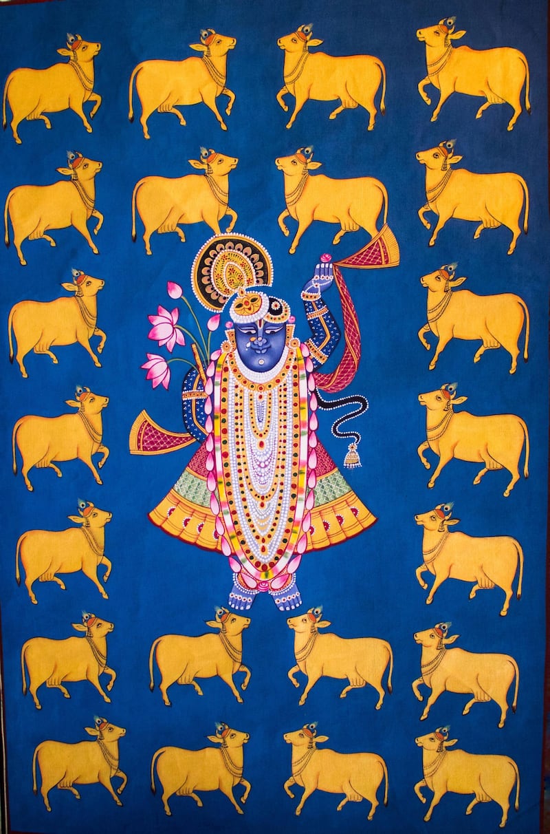 Pichwai paintings are devotional paintings made on cloth that narrate the tales of Lord Krishna and are usually hung at the backdrop of Lord Shrinath (a form of Krishna). Courtesy: Sanket Jain