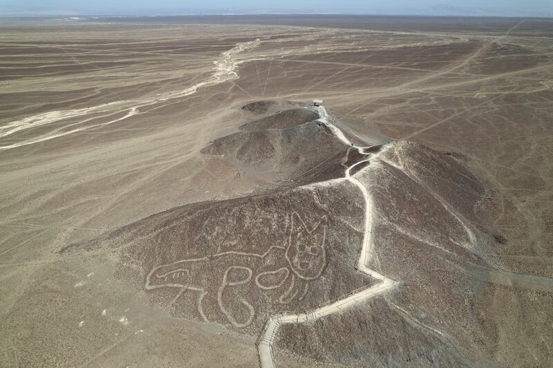 A cat-like geoglyph in Nazca, Peru. AP