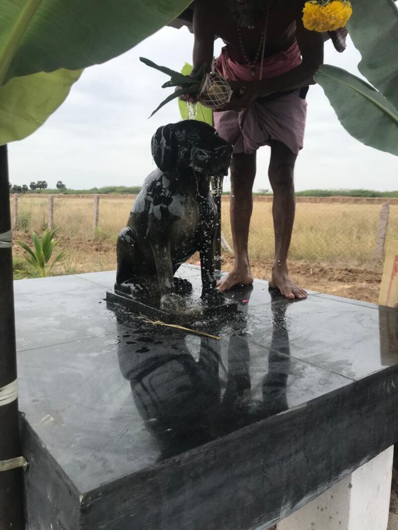 Muthu Kumar, 82, a former government employee from Sivaganga in southern Tamil Nadu state has built a statue of his beloved dog, a brown Labrador, named Tom. Photo: Manoj Kumar