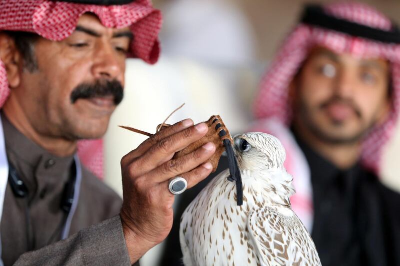 A Saudi man holds his falcon during the King Abdulaziz Falconry Festival in Riyadh, Saudi Arabia. Reuters