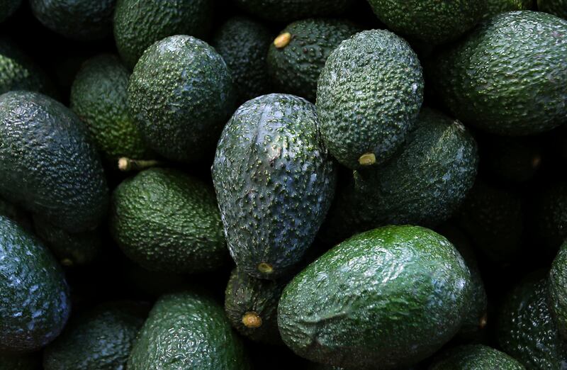 In1997 the US lifted a ban on Mexican avocados in place since 1914 to prevent weevils, scabs and pests from entering US orchards AP