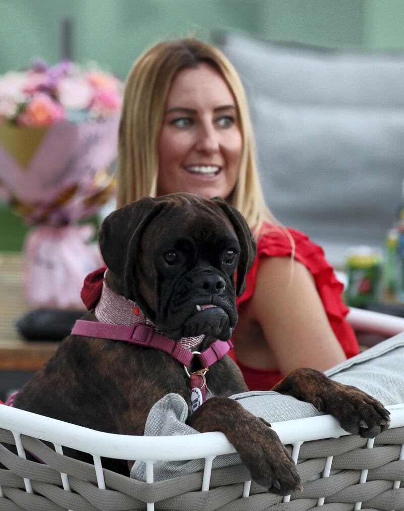 Dubai, United Arab Emirates - Reporter: Katy Gillett. Features. Boujie Paws Co Dog Fashion Show at the Vida hotel. Tuesday, April 6th, 2021. Dubai. Chris Whiteoak / The National