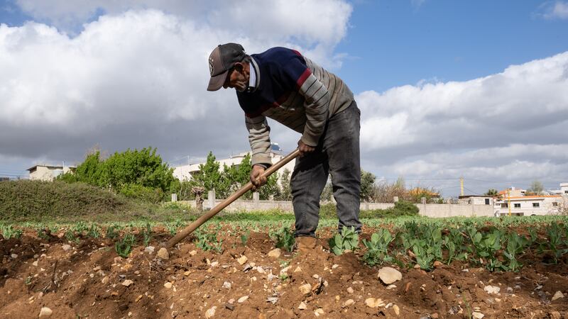 Walid Al Ahmid works his land in the Bekaa valley, Lebanon. Matt Kynaston / The National