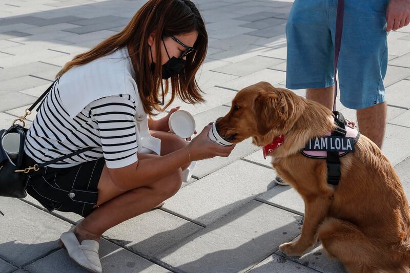 A dog enjoys an afternoon snack.