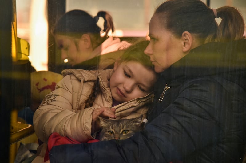 A child on a bus for refugees pets a cat in Lviv, Ukraine. Reuters