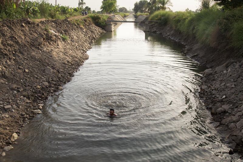A child swims in a canal branching off from the River Nile in the village of El-Boghdadi, near Luxor, Egypt. Bloomberg