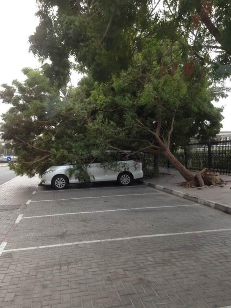 Strong winds brought a tree down on this car in Media City, Dubai. Ghulam Mustafa Shaikh