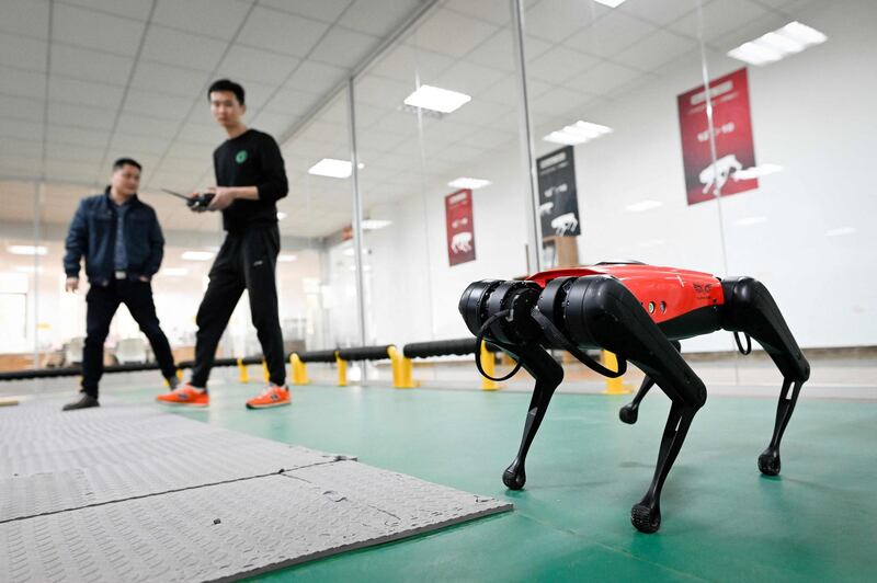 The AlphaDog quadruped robot sells for 16,000 yuan ($2,400). Wang Zhao / AFP