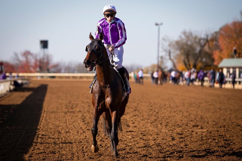 Order of Australia with Christophe Soumillon walks back after winning the Fanduel Breeders' Cup Mile. USA Today