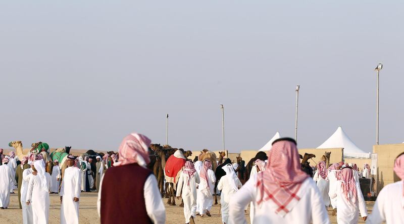 The first informal parade of the festival was a herd of 25 beauty camels from Baniyas, Abu Dhabi. Al Dhafra is a place of rumours, where information is spread by Snapchat and the fireside, and so word spread that the camels were Omani, and with that information came the assumption the camels would be sold at lower price than an Emirati-bred herd.