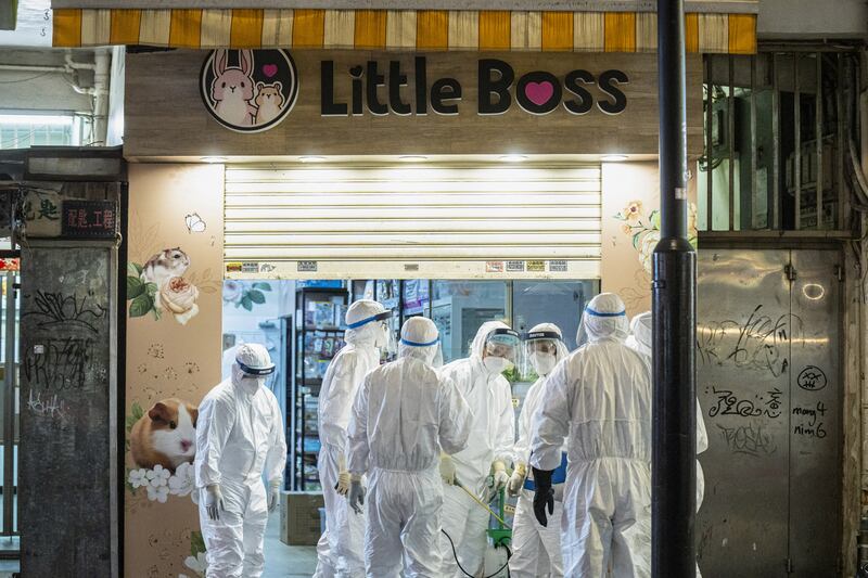 Workers with Hong Kong's Agriculture, Fisheries and Conservation Department arrive at the Little Boss pet store. Bloomberg