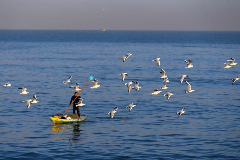 Seagulls fly over a Palestinian fisherman in Gaza City. Mohammed Abed / AFP