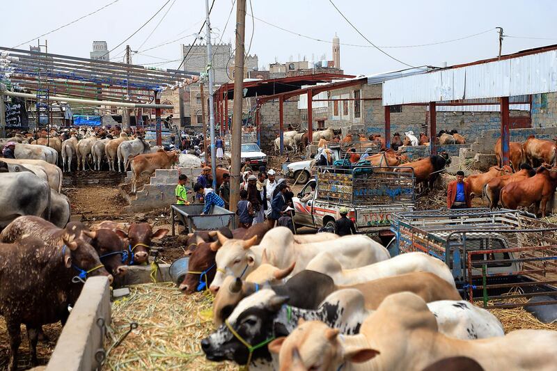 A livestock market in the capital Sanaa as Yemenis prepare for the upcoming Muslim festival Eid Al Adha.  AFP