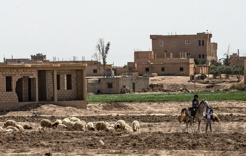 Young shepherds work near buildings damaged by fighting in the village of Baghouz in Syria's northern Deir Ezzor province. AFP