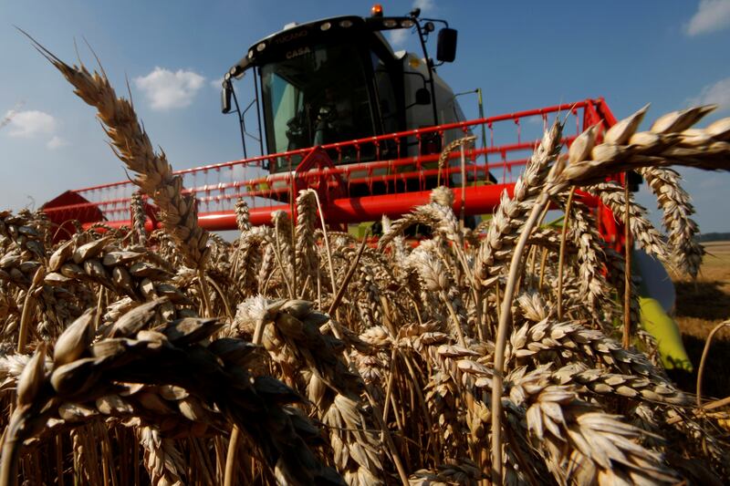 A French farmer harvests his wheat crop in Bugnicourt, northern France. Global wheat reserves could fall to a five-year low after crop losses in Russia and Canada. Reuters