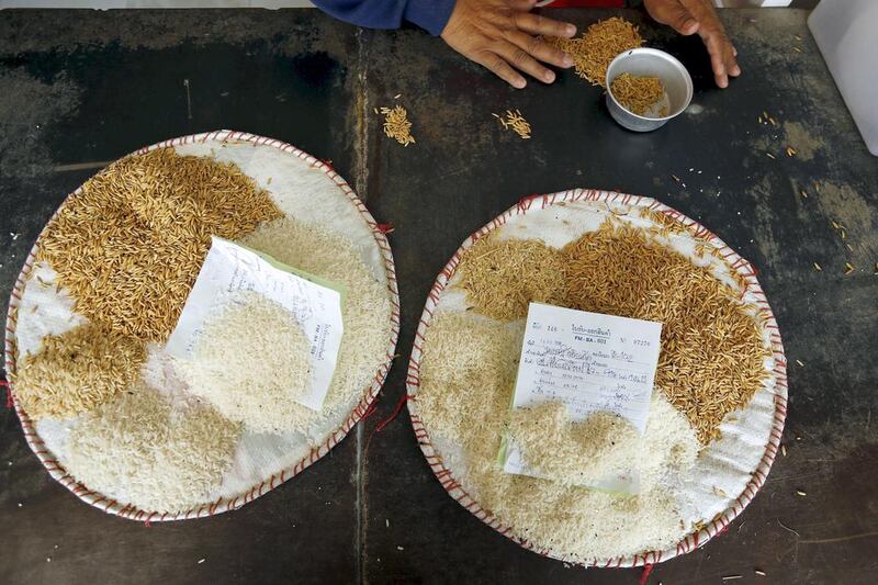 Rice mill workers check and classify rice quality in a rice mill in Khon Kaen. Thailand and China signed a memorandum of understanding last December for China to buy two million tonnes of rice over two years. Jorge Silva / Reuters