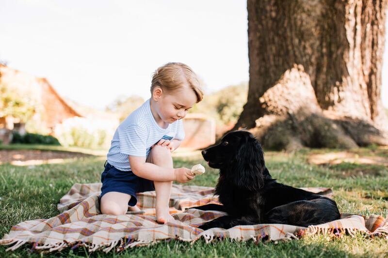 Prince George at the family's Norfolk home, released to celebrate his 3rd birthday in 2016. Shutterstock