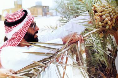 Sheikh Zayed, for whom plants were ‘like children’, was determined to see his land bloom. Courtesy Al Ittihad