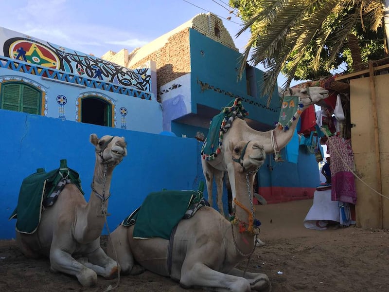 Camels beside the colourful buildings of Gharb Sohail, a Nubian village in Egypt. Courtesy Aya Nader.  