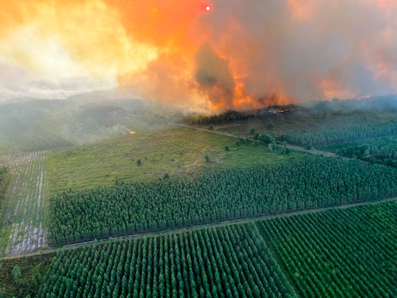 A wildfire flares up near Landiras, south-west France. AP