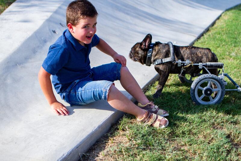 Sam with Timo, a French bulldog who uses wheels to walk as he has an issue with his spine. He was Ms Ray’s inspiration for the project. Courtesy: Em Ray