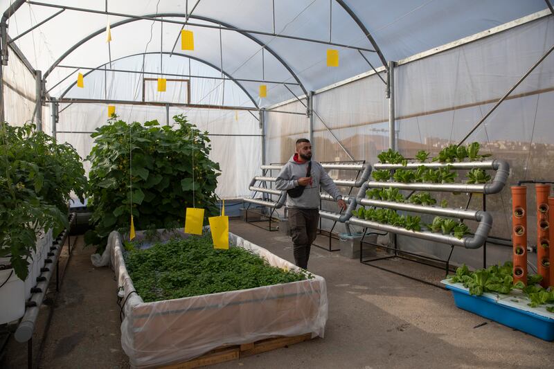 Rooftops are the only option left for Aida inhabitants who lack arable land but are interested in growing their own crops.