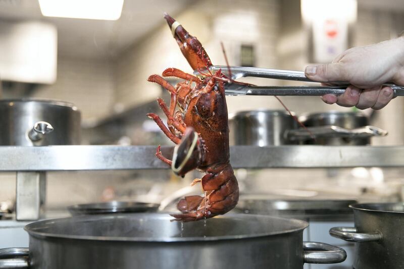 ABU DHABI, UNITED ARAB EMIRATES - MARCH 27, 2018. 

Chef Theodoris Rouvas, from Bentley Kitchen, prepares a Lobster Thermidor.

After euthanizing the lobster, Chef Theo places it in boiling water and cooks it till it turns red.

(Photo by Reem Mohammed/The National)

Reporter: 
Section: AC