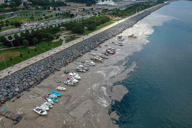 Experts say sea snot will occur more often because of global warming. AFP