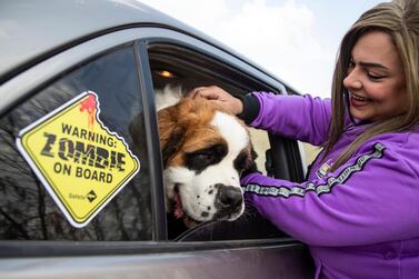 An Aleefcom Paxi – or taxi for pets – collects a dog in Cairo for transport elsewhere in the Egyptian capital. EPA