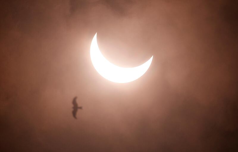 A partial solar eclipse is seen from Rajpath in New Delhi, India, June 21, 2020. Reuters